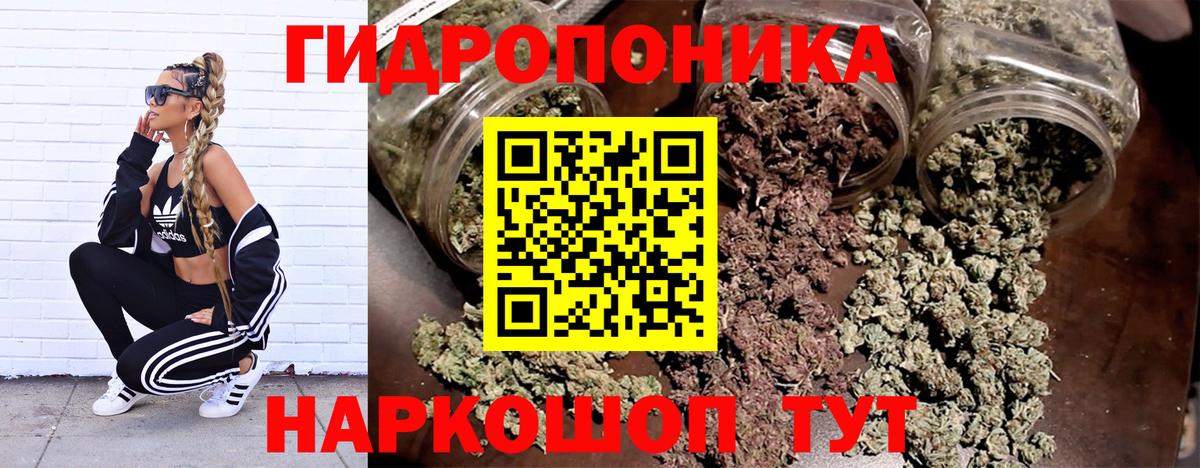 Каннабис индика Богородицк